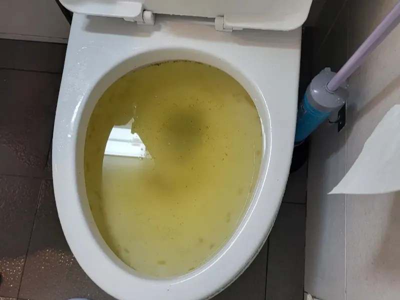 대전 중구 변기막힘 작업사례
